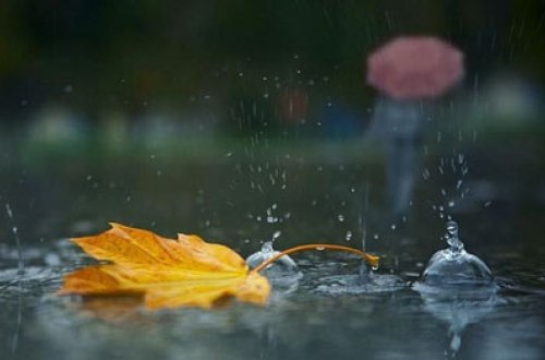 Bu günün havası: yağış yağacaq