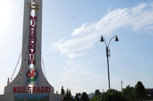 Mingəçevirdə fil sümükləri tapıldı