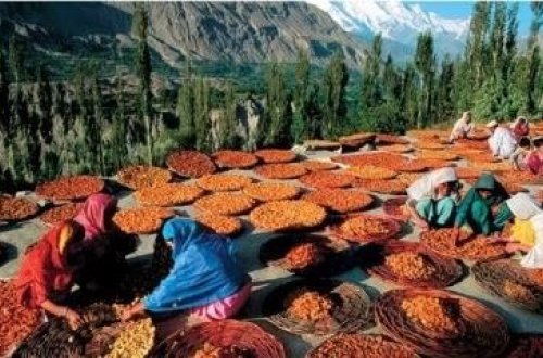 Bu türk qadınları 60 yaşında ana olur
