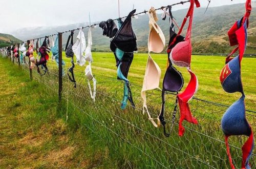 Dünyanın ən qəribə hasarı