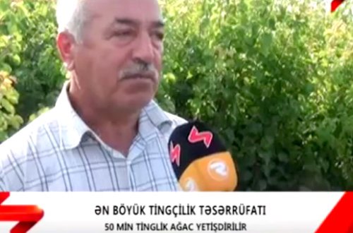 Şəkidə hər kəs bu zəhmətkeşdən danışır