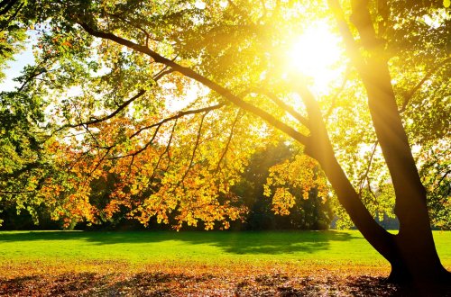 Oktyabr ayına olan hava proqnozu açıqlandı