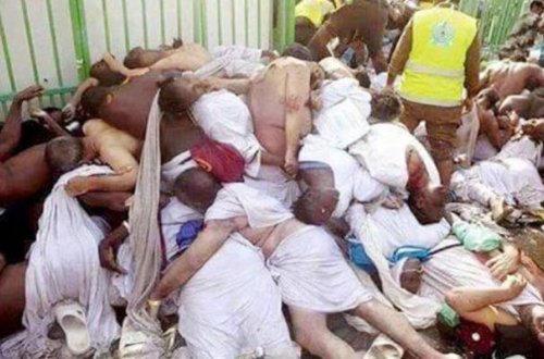 Məkkədə 4 mindən çox zəvvar ölüb - Nazirlik açıqladı