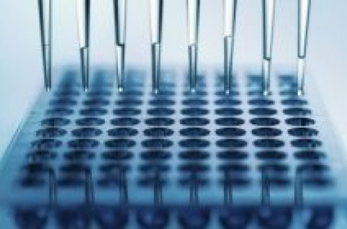 Alimlər elə bir kəşfə imza atdılar ki...