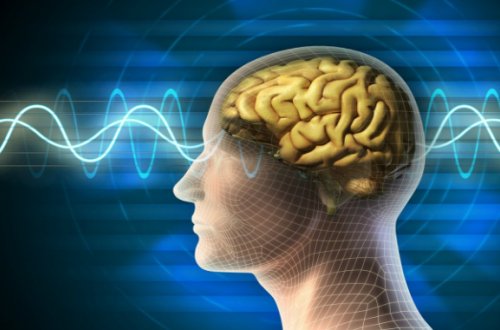 Əsgərlərin beyninə elektron çiplər yerləşdirilə bilər