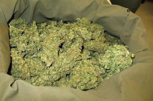 Lənkəran sakinindən 2 kiloqramdan çox narkotik götürülüb