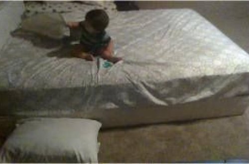 Bu körpənin məntiqi və ağıllı olmağı sizi çox təəccübləndirəcək