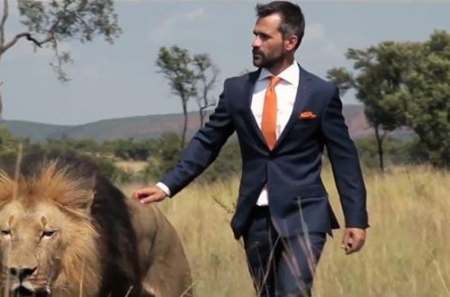 Şirlərlə futbol oynadı: ürəyi zəif olanlar baxmasın