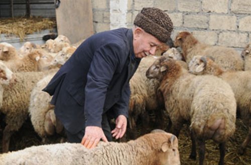 Azərbaycanda Qurban bayramı