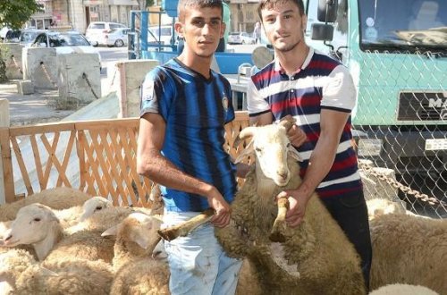 Dirisi 4, ölüsü 9 manata…