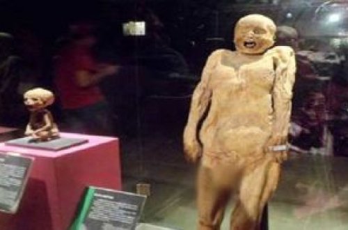 20 milyonluq mirasla tək qaldı - qorxulu yerdən görüntülər