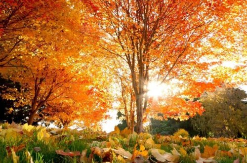 Azərbaycanda payız fəsli başlayır