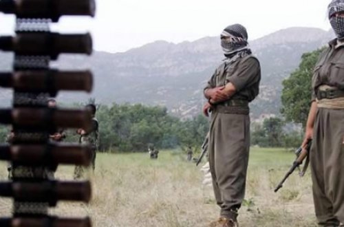 PKK-nın xeyli silah-sursatı məhv edildi