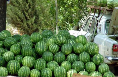 Bakıda qarpız satan şəxsi polis saxladı