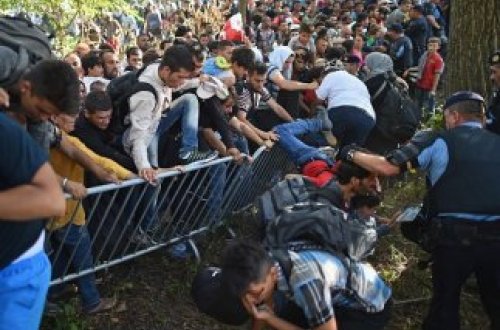 Xorvatiya ərazisinə keçən miqrantların sayı 17 mini ötüb