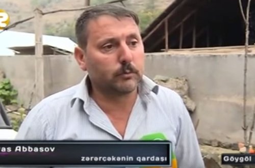 Göygöldə silahlı insident: Qoruq nəzarətçisini vurmaq istədi, atı yaraladı