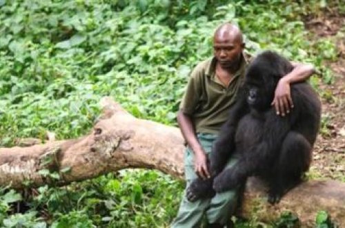 Gerçəyi öyrənəndə çox üzüləcəksiniz... -