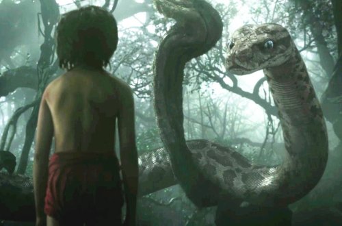 Mauqli barədə möhtəşəm film çəkilir