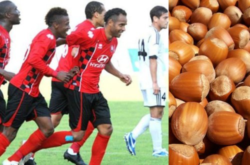 Fındıq “Qəbələ”yə necə problem yaratdı?