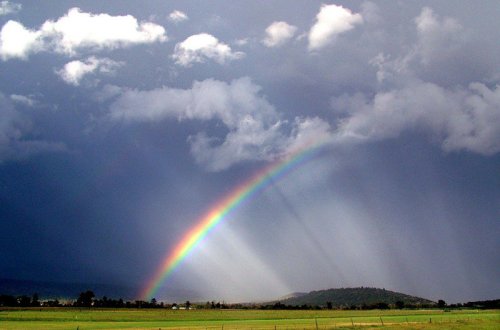 Bu günün hava proqnozu