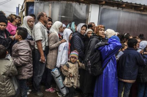 Avropaya rekord həddə qaçqın keçib