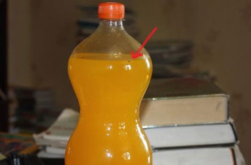 Bakıda alınan “Fanta”nın içindən həşərat çıxdı -