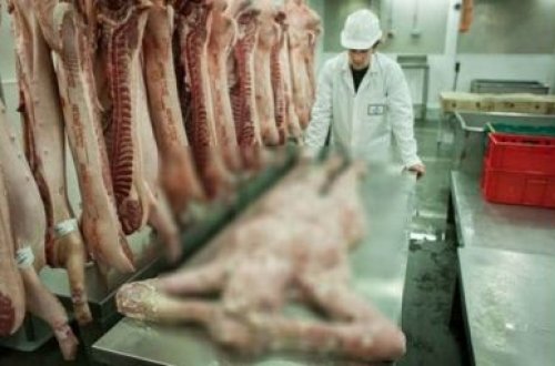 İnsan əti satan ilk qəssab dükanı açıldı -