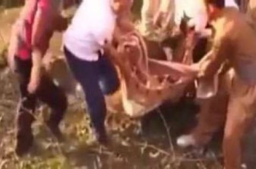 Cəsədlər və ağlayan PKK-çılar