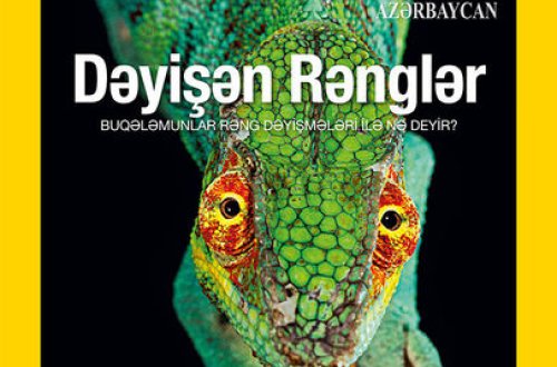 Azərbaycanlı fotoqraf “Best Edit”in qalibi seçildi –