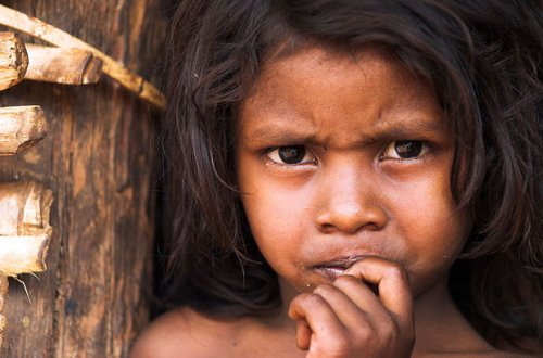 Çilidə yeni “Mauqli” tapıldı –