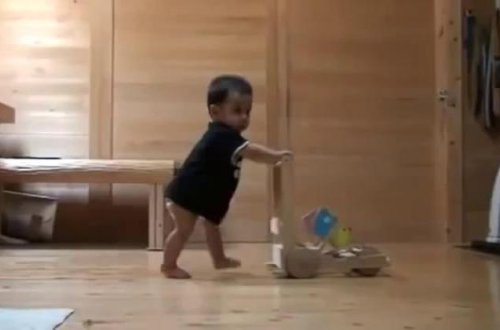 Pişik uşağa yeriməyi öyrətdi