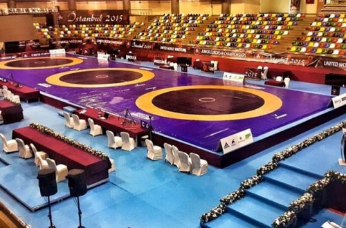 Güləşçilərimizdən bir gümüş və bir bürünc