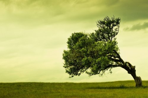 Yaxın üç gün ərzində ölkədə hava şəraiti pisləşəcək