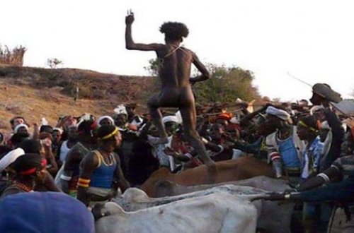 Dilləri kəsilir, boğazlarına qamış soxulur, cinsiyyət orqanları tikilir