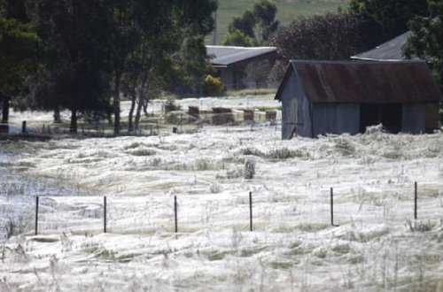 İnanılmaz mənzərə