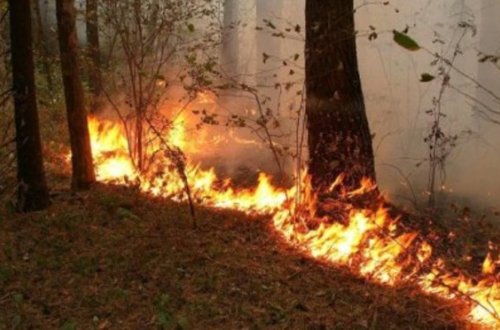 Şabranda güclü yanğın başladı