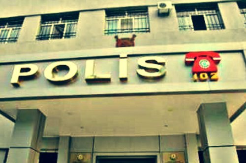 Gəncədə oğru dəstəsi zərərsizləşdirildi