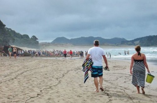 Bakıda pulsuz çimərlik açılacaq