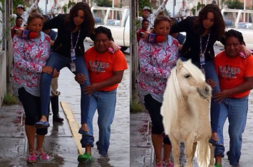 Jurnalist qadın biabır oldu