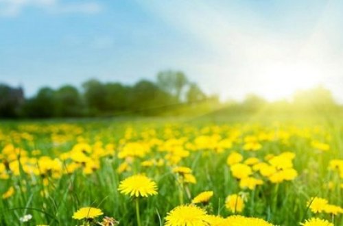 Bu gün 38 dərəcə isti olacaq