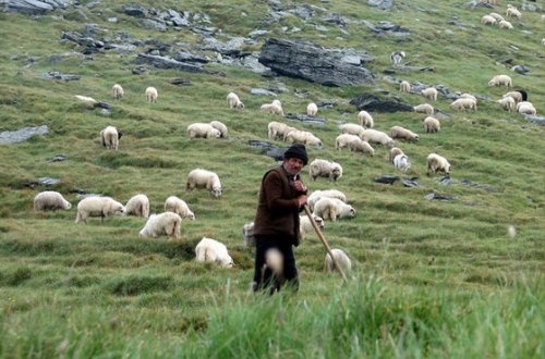 Azərbaycanla sərhəddə erməni çoban yoxa çıxıb