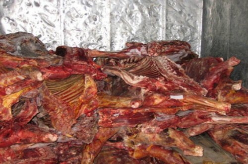 Tərtərdə 150 kq at əti aşkarlandı