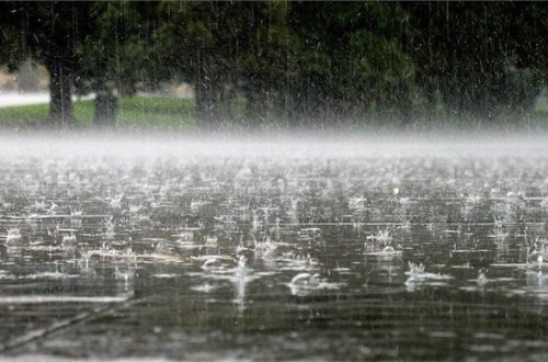 Leysan, dolu gözlənilir