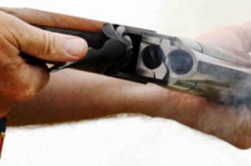 İtə güllə atdı..