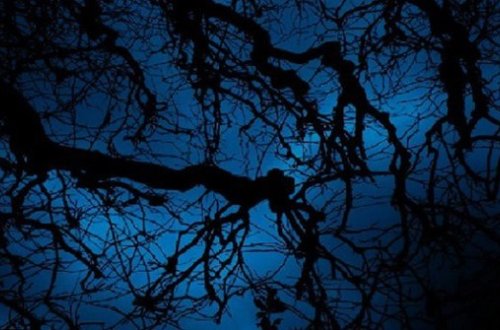 Ağdaşda müəmmalı vəziyyət