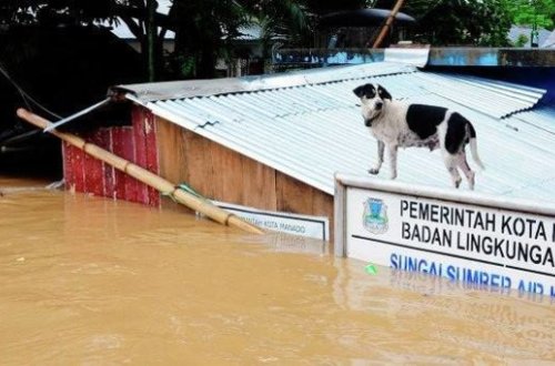 Ölənlərin sayı 56-ya çatdı