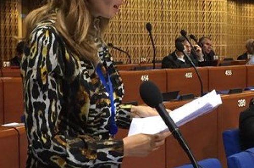 Millət vəkili AŞPA-da Türkiyəyə dəstək çağırışı etd