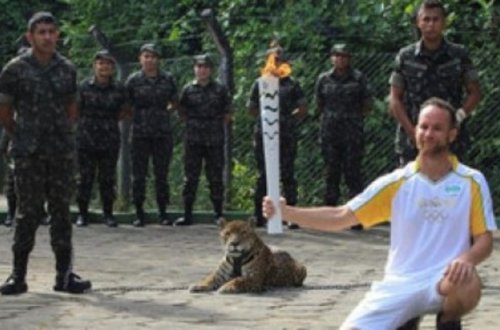 Rio-2016-nın talismanı olan yaquar güllələnib