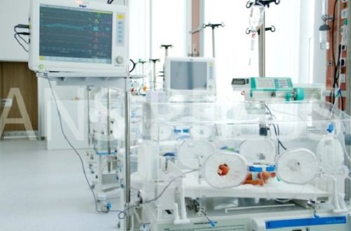 Üçəmlərdən sağ qalanı reanimasiyaya yerləşdirildi