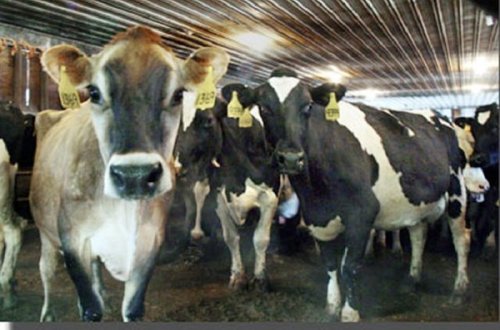 Nazirlik təkzib etdi: